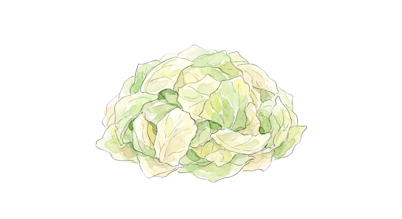 イラスト