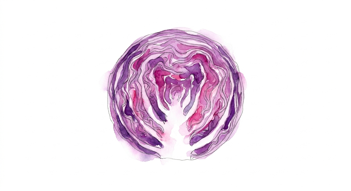 イラスト