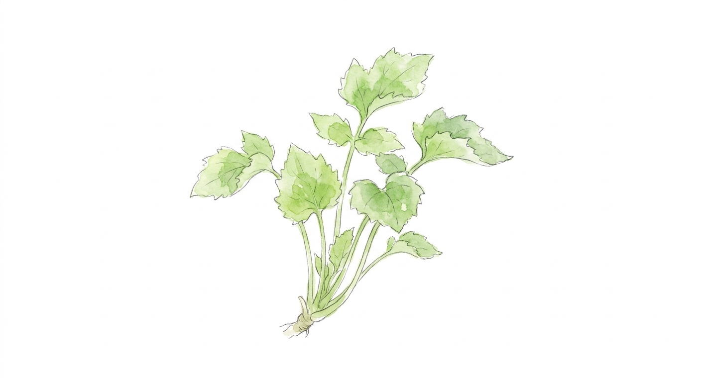 イラスト