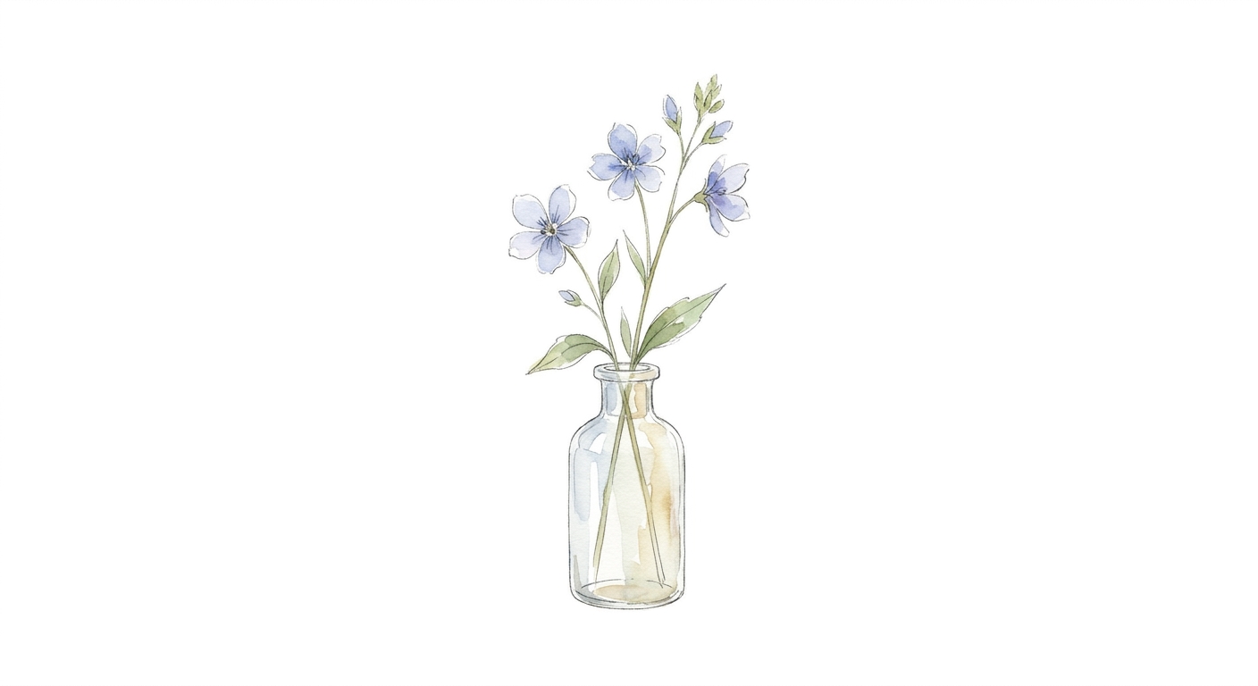 イラスト