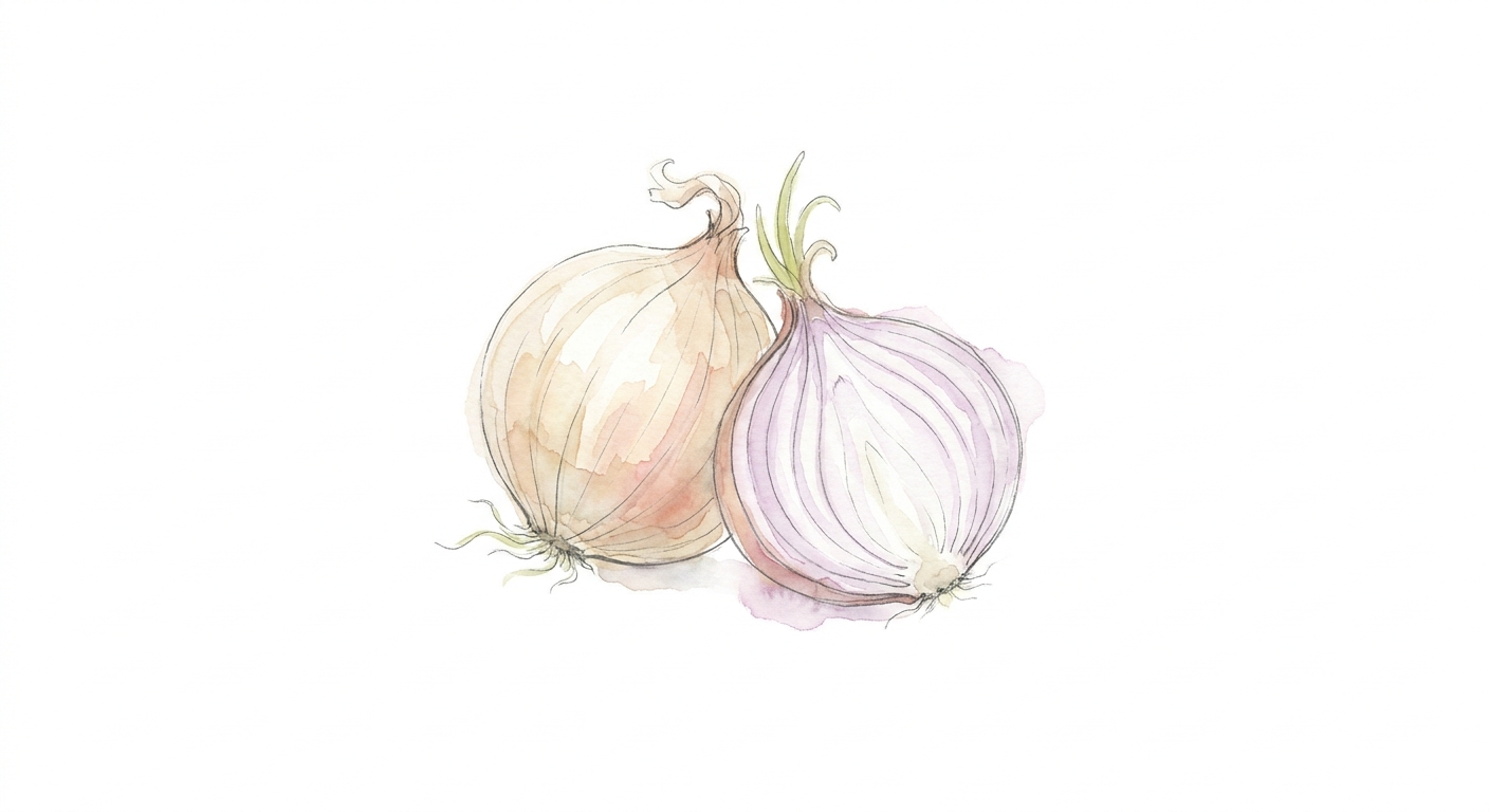 イラスト