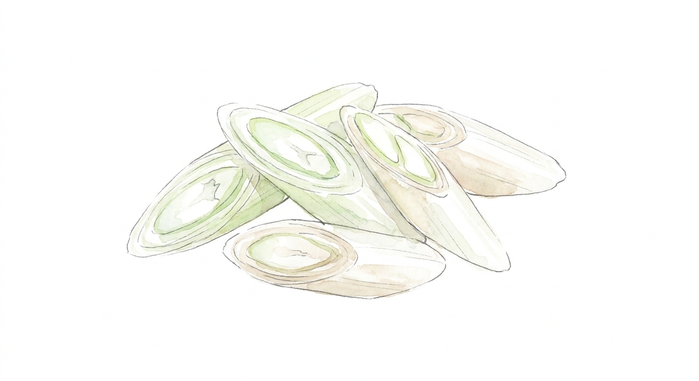 イラスト