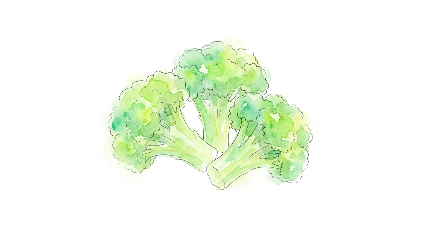 イラスト