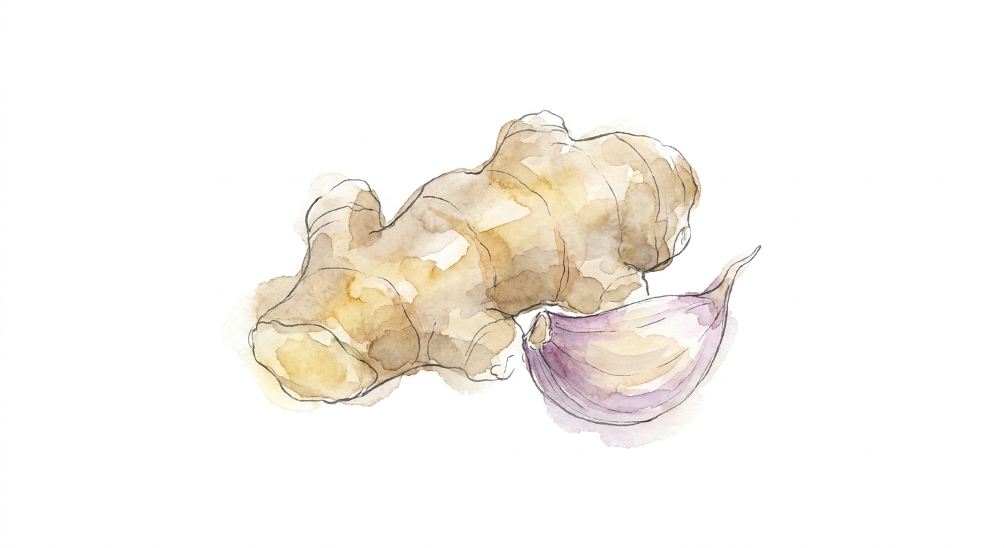 イラスト