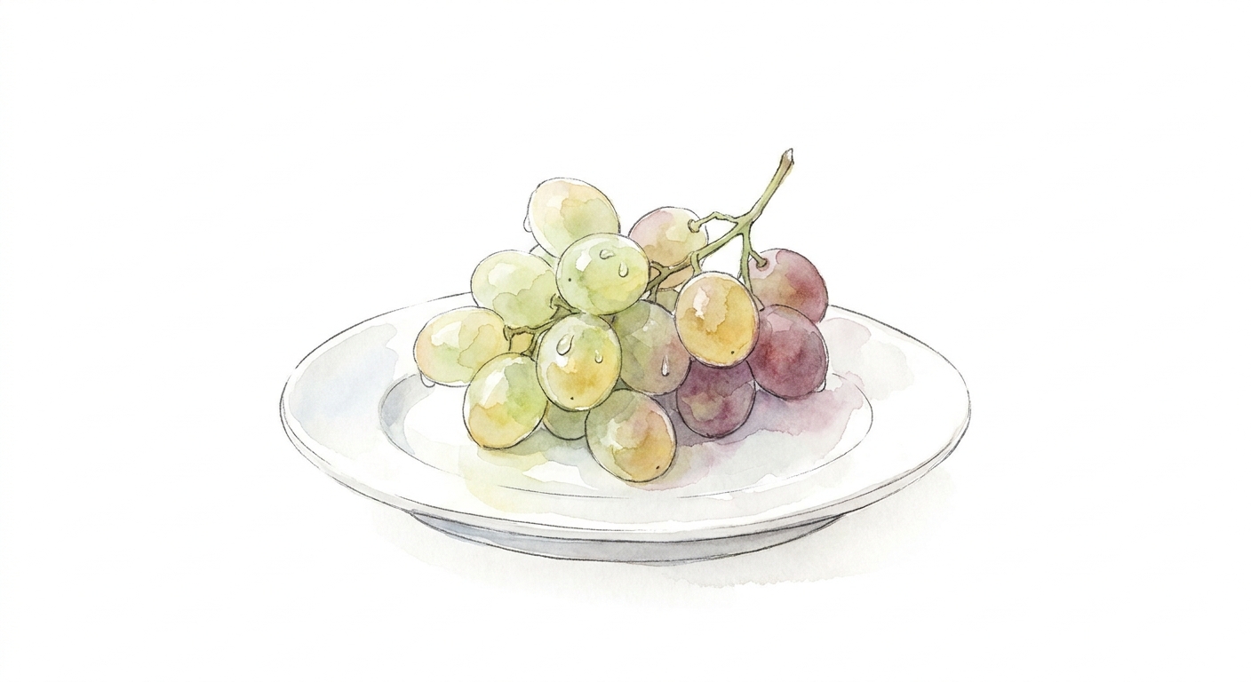 イラスト