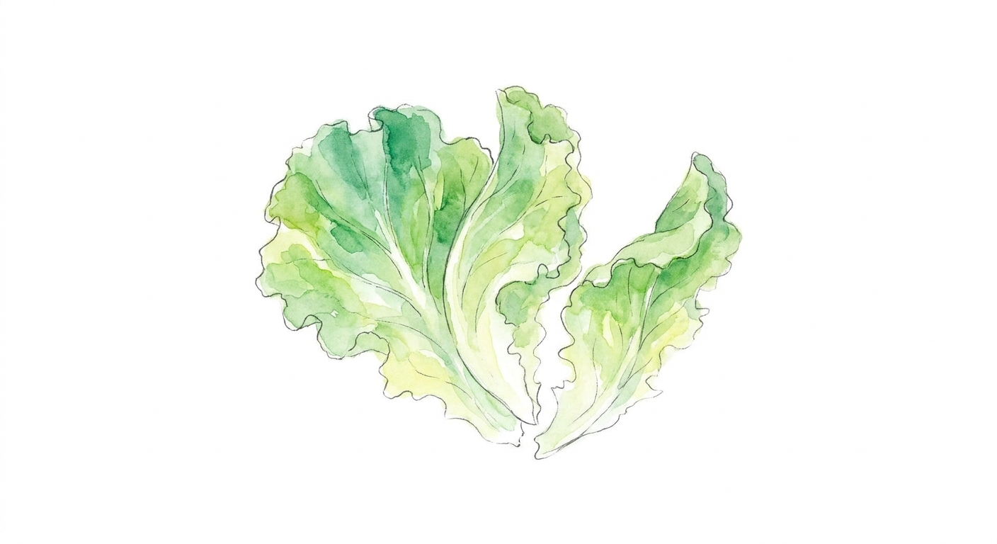 イラスト