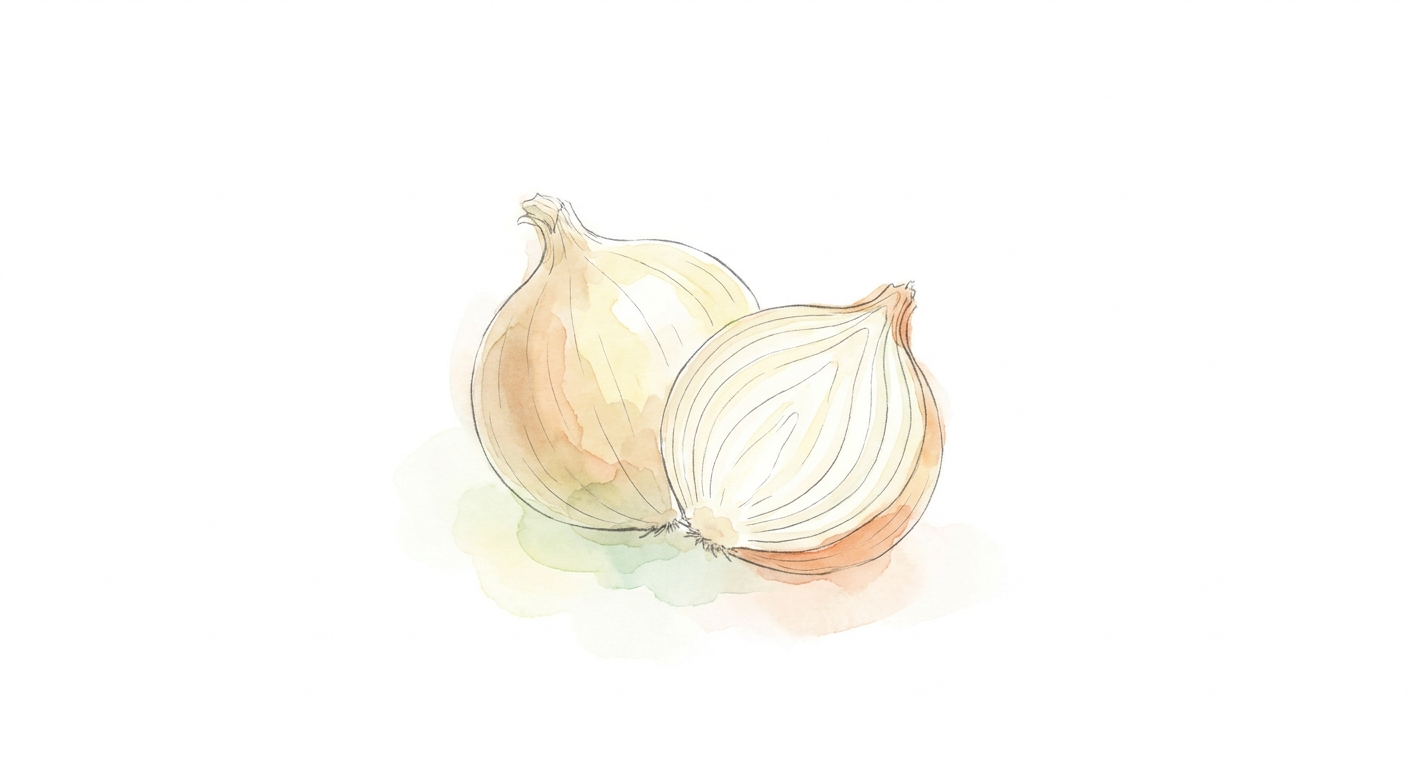 イラスト