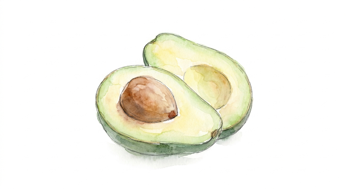 イラスト