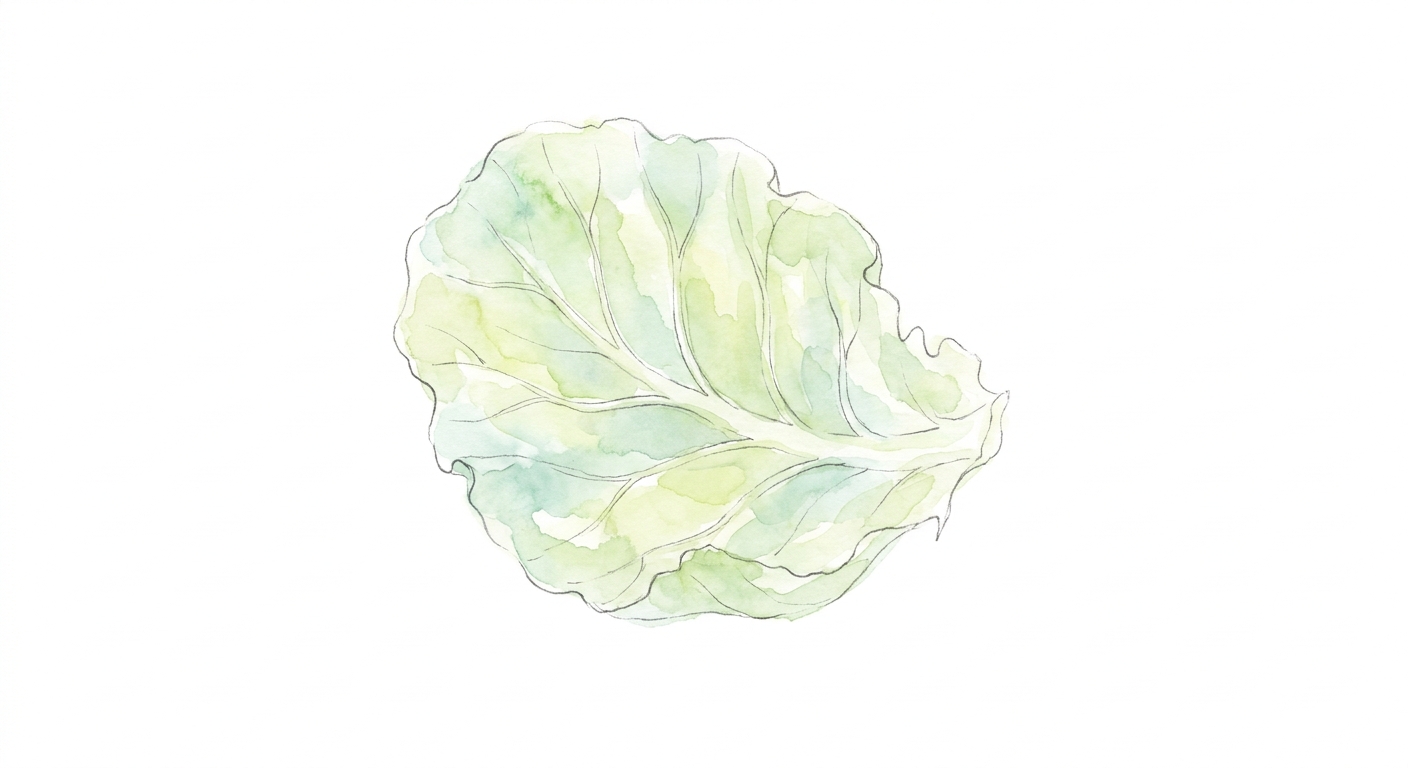 イラスト